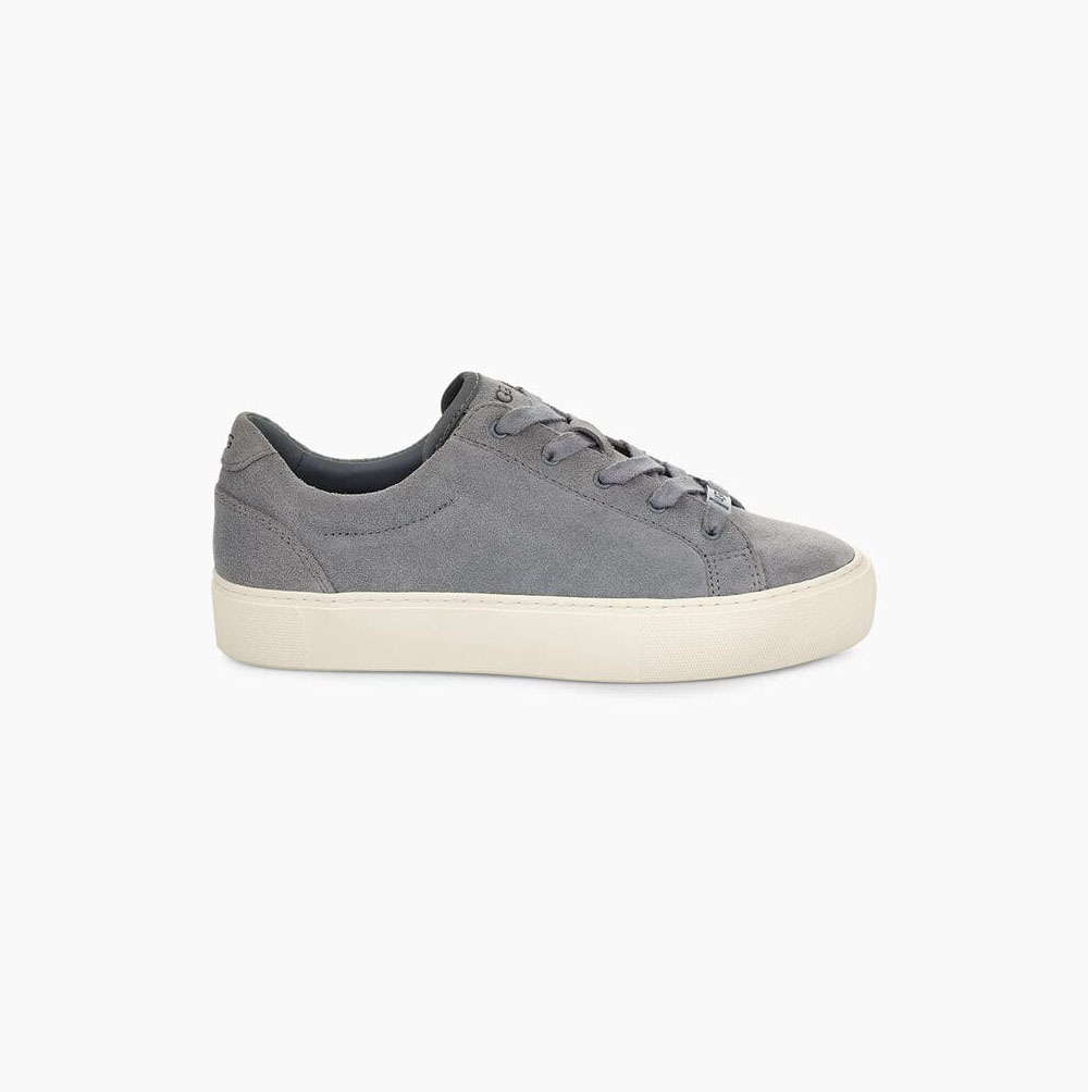 UGG Zilo Grey Sneakers for Women (CNXW84059)